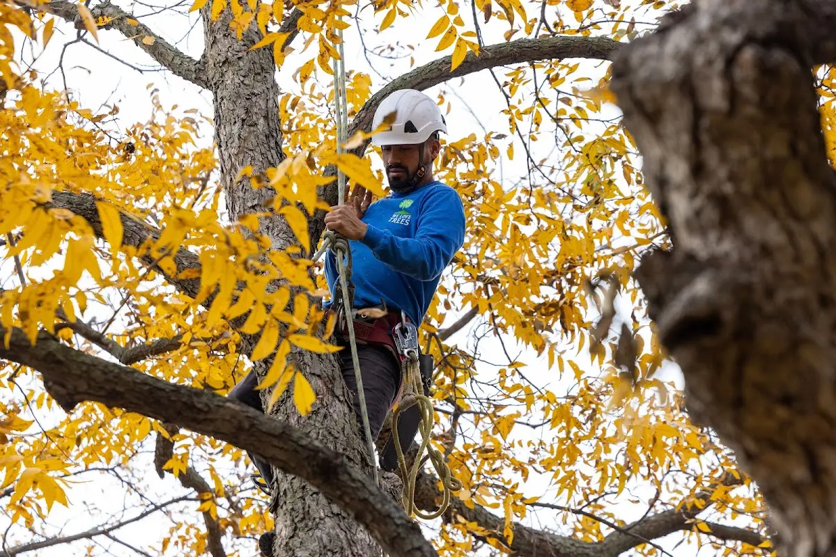 Skilled Storm Damage Cleanup crew working in Topawa