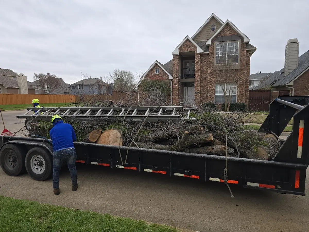 Expert Lot Clearing with proper safety equipment in Topawa